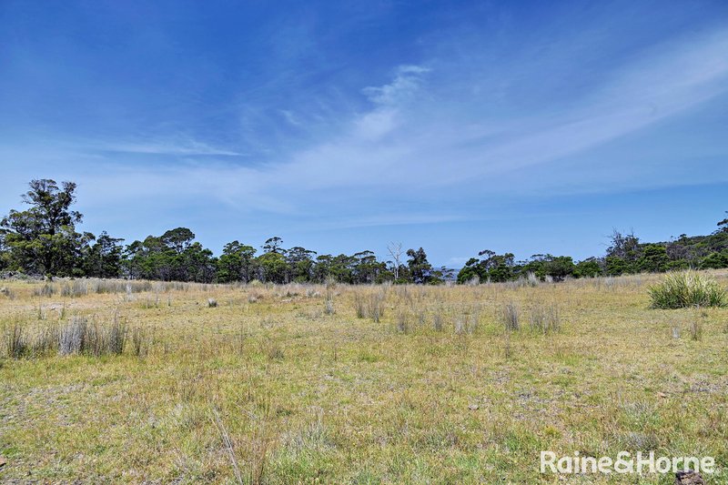 Photo - Lot 1 Bresnehans Road, Little Swanport TAS 7190 - Image 4