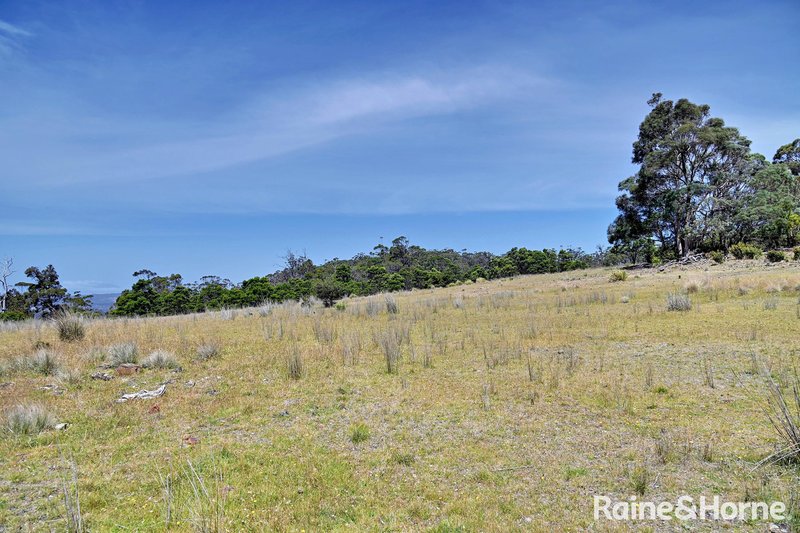 Photo - Lot 1 Bresnehans Road, Little Swanport TAS 7190 - Image 5