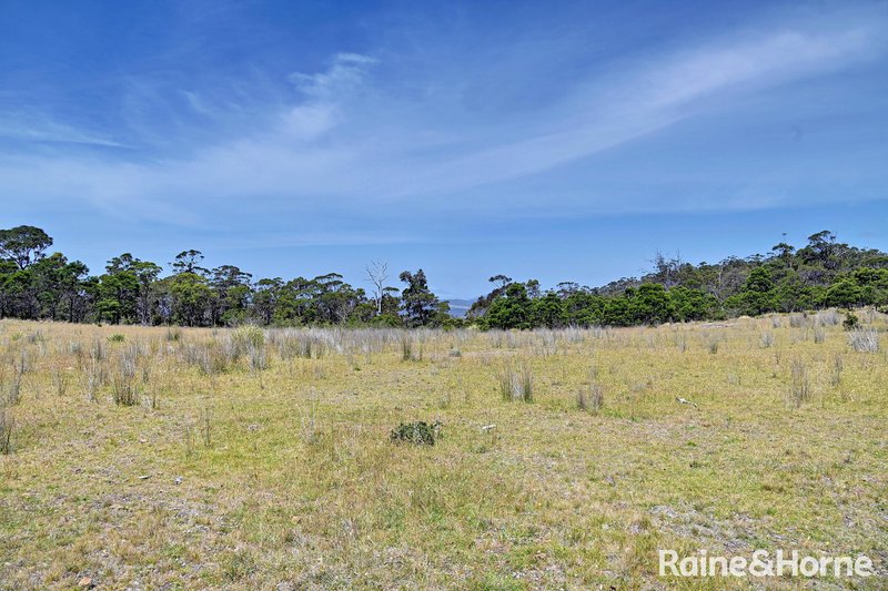 Photo - Lot 1 Bresnehans Road, Little Swanport TAS 7190 - Image 6