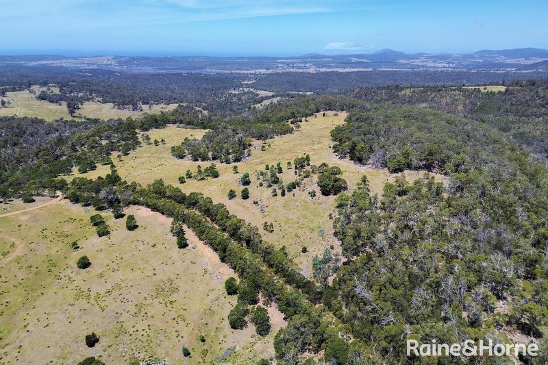 Photo - Lot 1 Bresnehans Road, Little Swanport TAS 7190 - Image 11