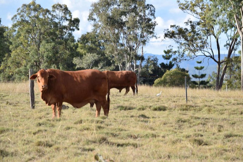 Lot 1 Brisbane Valley Highway, Wanora QLD 4306