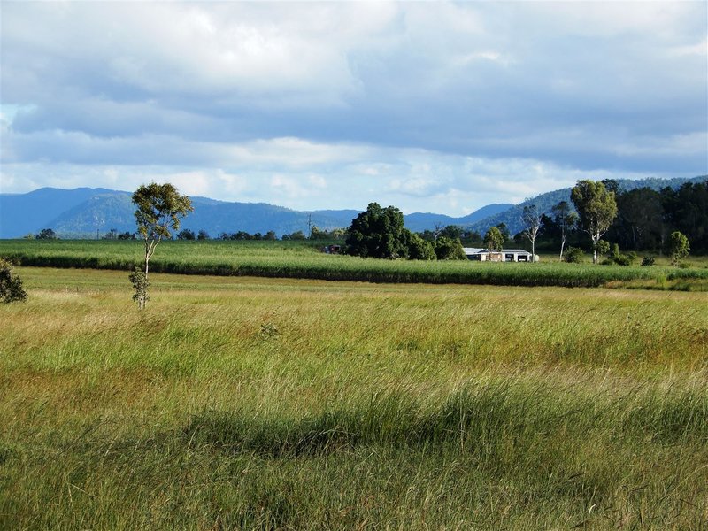 Lot 1 Bruce Highway, Bloomsbury QLD 4799