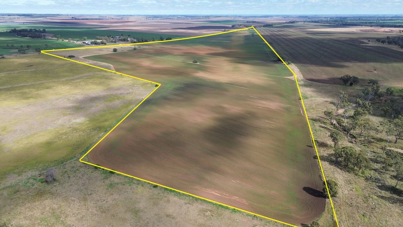 Photo - Lot 1 Brymaroo Irvingdale Road, Brymaroo QLD 4403 - Image 6