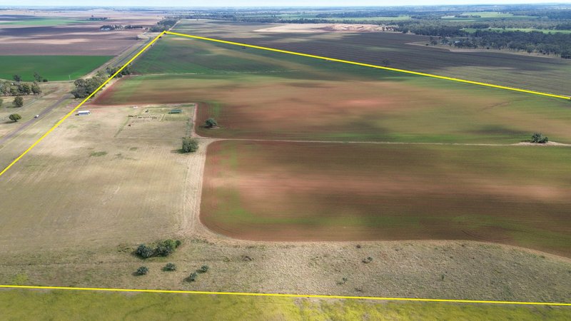 Photo - Lot 1 Brymaroo Irvingdale Road, Brymaroo QLD 4403 - Image 14