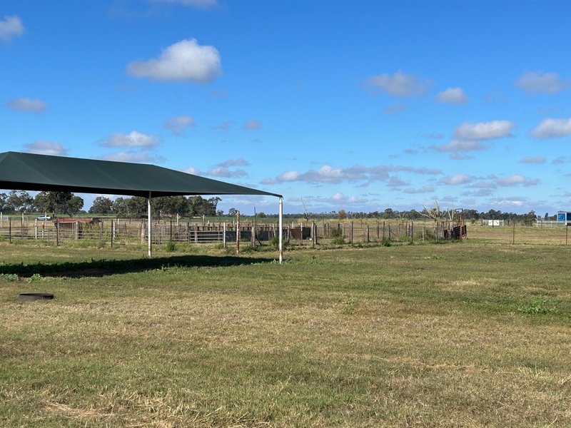 Photo - Lot 1 Brymaroo Irvingdale Road, Brymaroo QLD 4403 - Image 15