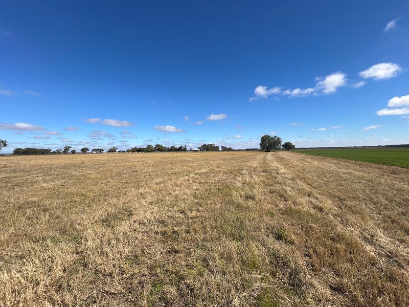 Photo - Lot 1 Brymaroo Irvingdale Road, Brymaroo QLD 4403 - Image 18