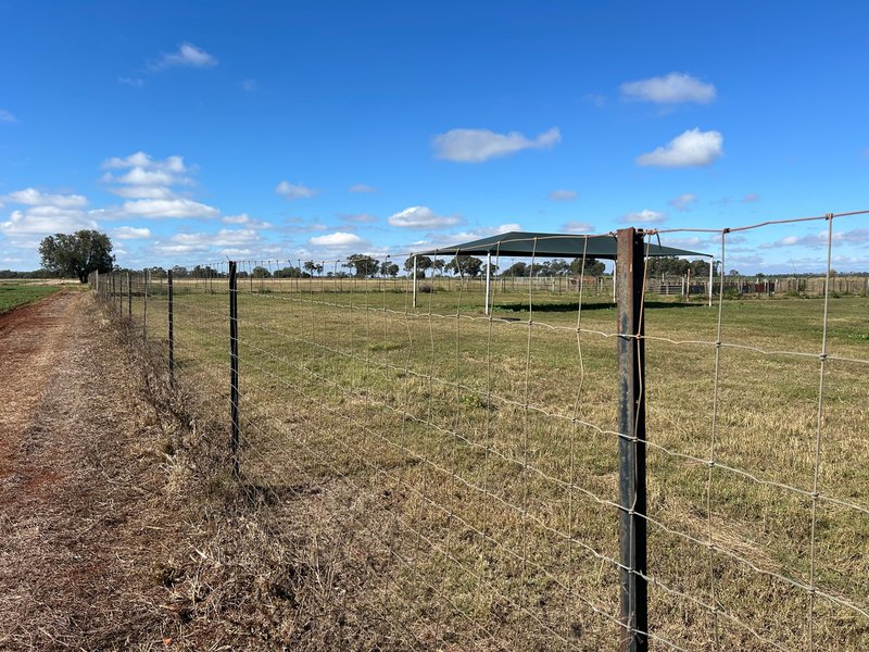 Photo - Lot 1 Brymaroo Irvingdale Road, Brymaroo QLD 4403 - Image 21