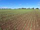 Photo - Lot 1 Brymaroo Irvingdale Road, Brymaroo QLD 4403 - Image 25