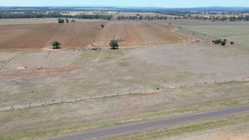 Photo - Lot 1 Brymaroo Irvingdale Road, Brymaroo QLD 4403 - Image 28