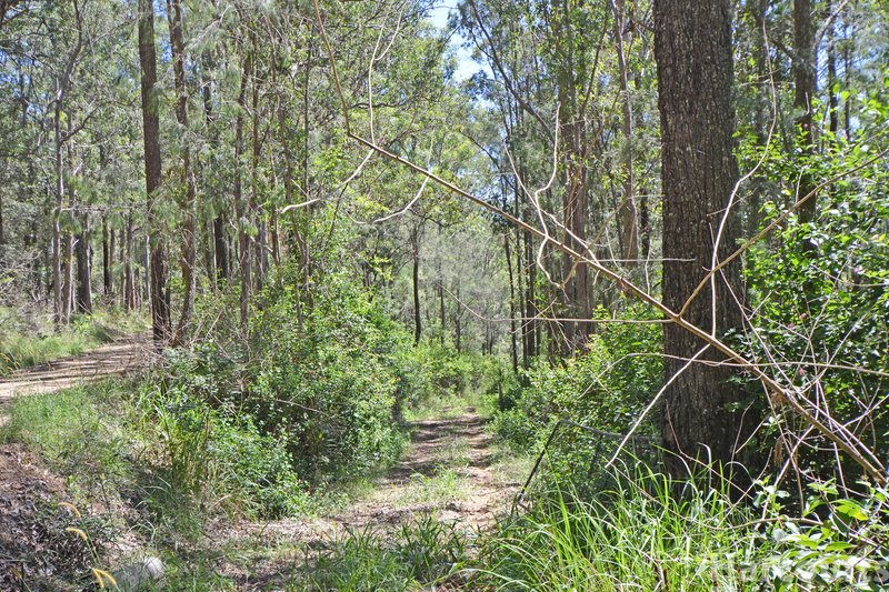 Photo - Lot 1 Clarefield Dungay Creek Road, Marlo Merrican NSW 2441 - Image 7