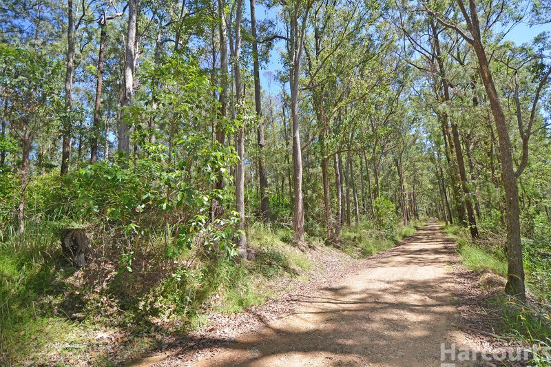 Photo - Lot 1 Clarefield Dungay Creek Road, Marlo Merrican NSW 2441 - Image 8