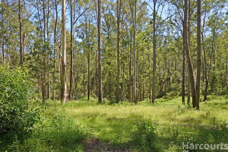 Photo - Lot 1 Clarefield Dungay Creek Road, Marlo Merrican NSW 2441 - Image 10