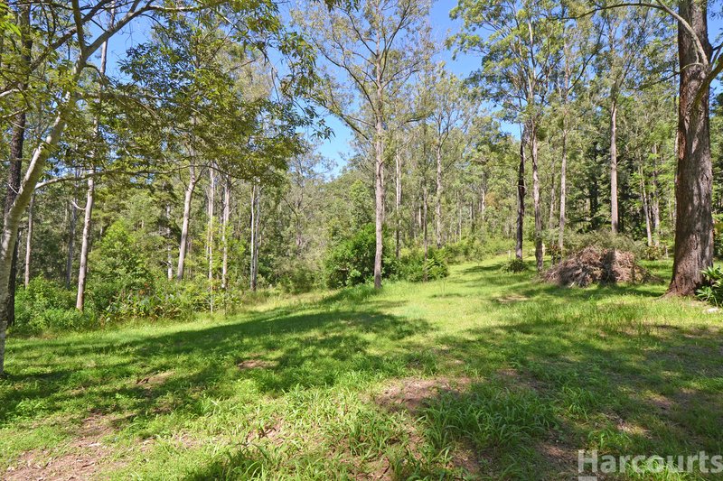 Photo - Lot 1 Clarefield Dungay Creek Road, Marlo Merrican NSW 2441 - Image 11