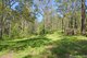 Photo - Lot 1 Clarefield Dungay Creek Road, Marlo Merrican NSW 2441 - Image 11