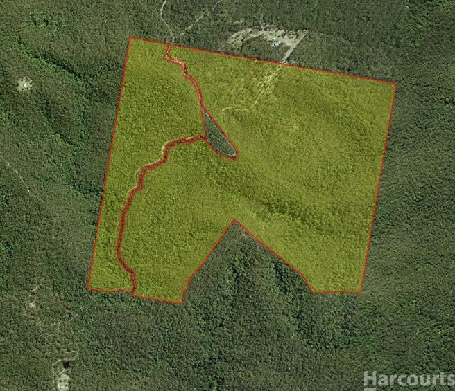 Photo - Lot 1 Clarefield Dungay Creek Road, Marlo Merrican NSW 2441 - Image 12