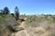 Photo - Lot 1 Coal Creek Road, Coal Creek QLD 4312 - Image 10