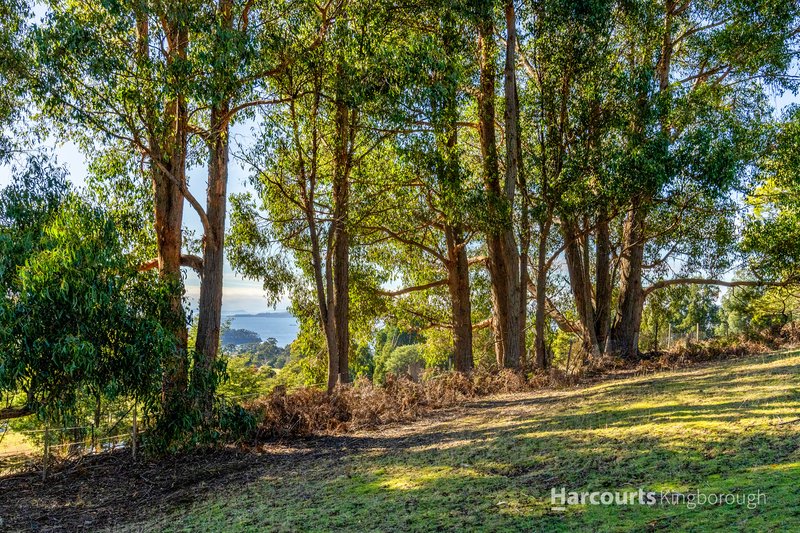 Photo - Lot 1 Cripps Road, Woodbridge TAS 7162 - Image 3