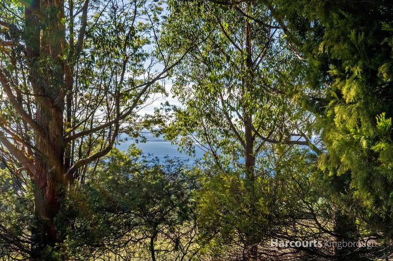 Photo - Lot 1 Cripps Road, Woodbridge TAS 7162 - Image 10