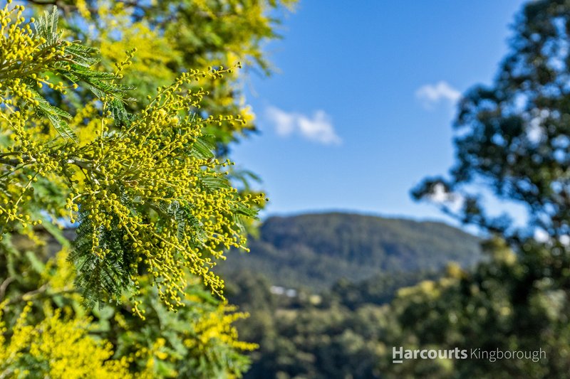 Photo - Lot 1 Cripps Road, Woodbridge TAS 7162 - Image 12