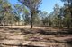 Photo - LOT 1 Donald Drive, Curra QLD 4570 - Image 4