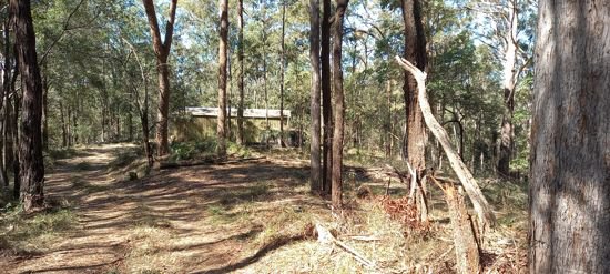 Photo - Lot 1 Foley Road, Ilkley QLD 4554 - Image 5