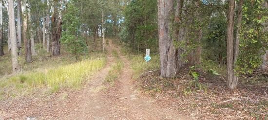 Photo - Lot 1 Foley Road, Ilkley QLD 4554 - Image 6