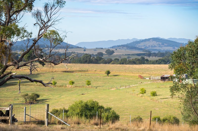 Photo - Lot 1 Garvey Road, Yackandandah VIC 3749 - Image 3