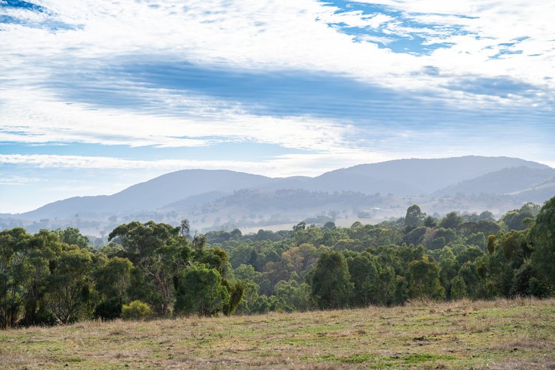 Photo - Lot 1 Garvey Road, Yackandandah VIC 3749 - Image 10