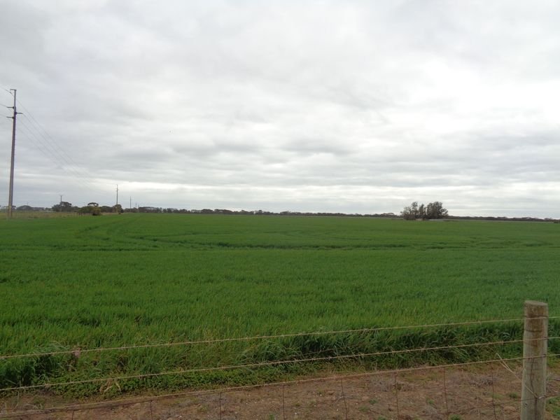 Photo - Lot 1 Gawler Road, Two Wells SA 5501 - Image 2