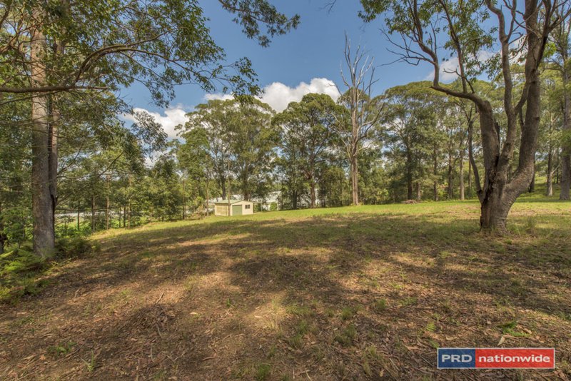 Photo - Lot 1 Gleniffer Road, Bonville NSW 2450 - Image 5