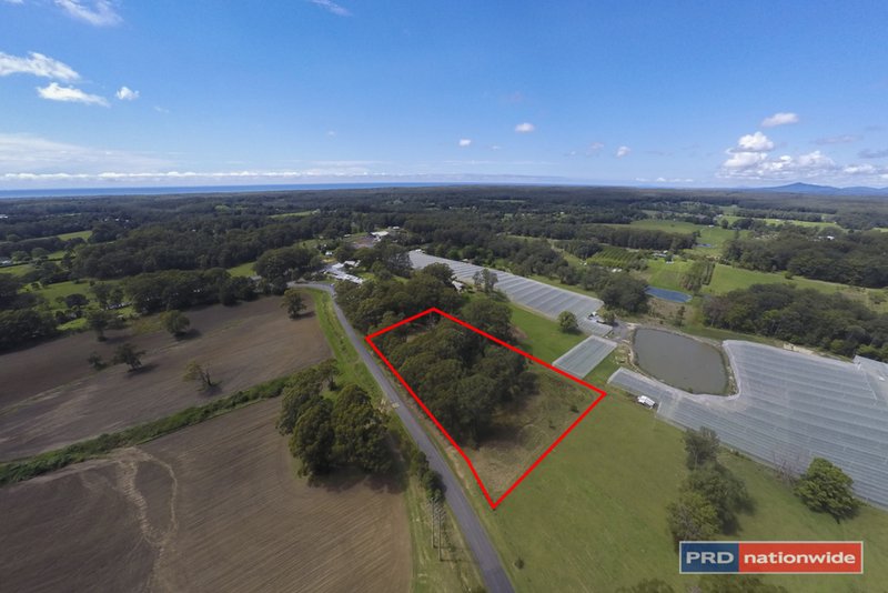 Photo - Lot 1 Gleniffer Road, Bonville NSW 2450 - Image 10