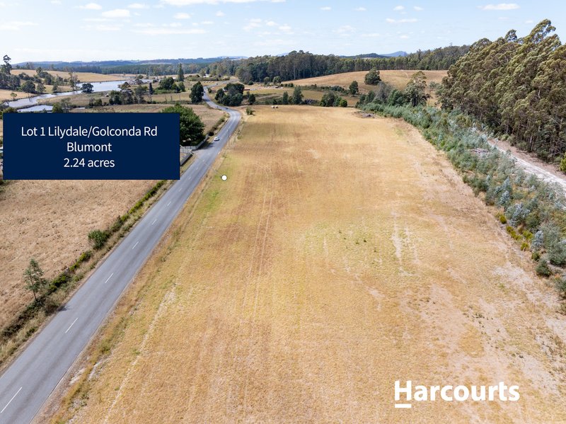 Photo - Lot 1 Golconda Road, Blumont TAS 7260 - Image 12