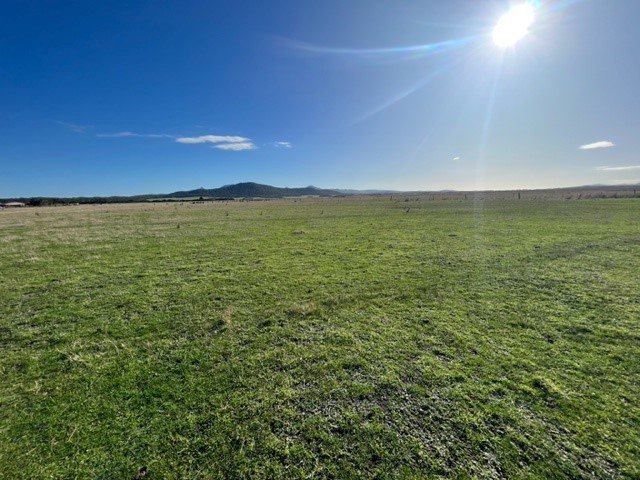 Lot 1 Golden Mile Road, Lackrana TAS 7255