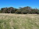 Photo - Lot 1 Golden Mile Road, Lackrana TAS 7255 - Image 6