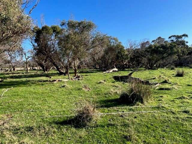 Photo - Lot 1 Golden Mile Road, Lackrana TAS 7255 - Image 8