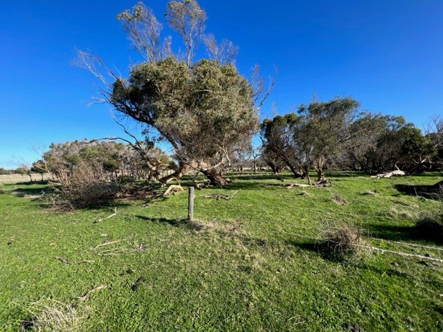 Photo - Lot 1 Golden Mile Road, Lackrana TAS 7255 - Image 9