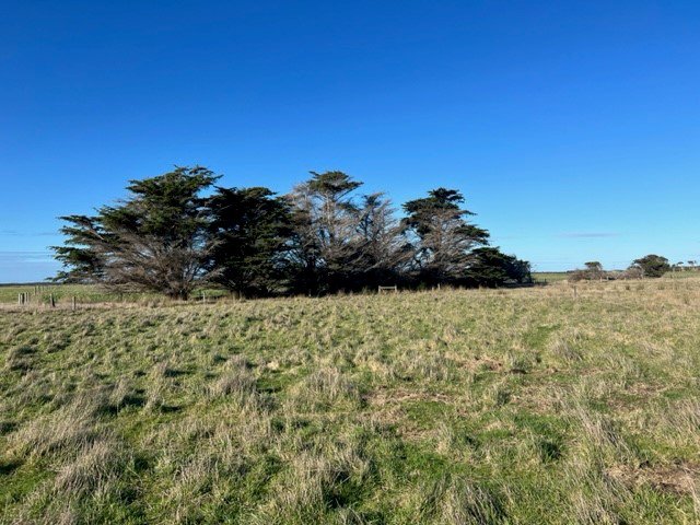 Photo - Lot 1 Golden Mile Road, Lackrana TAS 7255 - Image 10