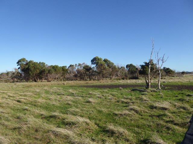 Photo - Lot 1 Golden Mile Road, Lackrana TAS 7255 - Image 25