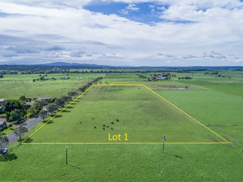 Photo - Lot 1 Greenwood Avenue, Singleton NSW 2330 - Image 2