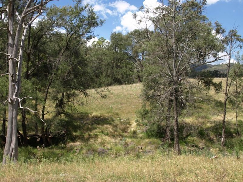 Lot 1 Halls Creek Road, Halls Creek NSW 2346