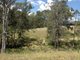 Photo - Lot 1 Halls Creek Road, Halls Creek NSW 2346 - Image 1