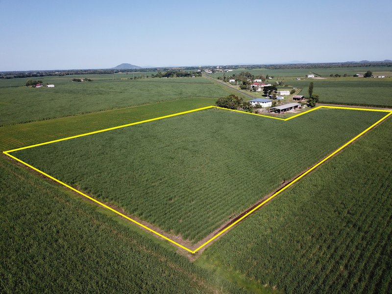 Photo - Lot 1 Hamleigh Road, Ingham QLD 4850 - Image 3