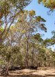 Photo - Lot 1 Hopkins Road, Chapman Hill WA 6280 - Image 22