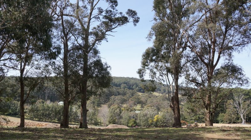 Photo - Lot 1 Horderns Road, Bowral NSW 2576 - Image 6