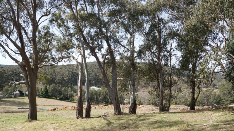 Photo - Lot 1 Horderns Road, Bowral NSW 2576 - Image 7