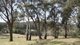 Photo - Lot 1 Horderns Road, Bowral NSW 2576 - Image 7