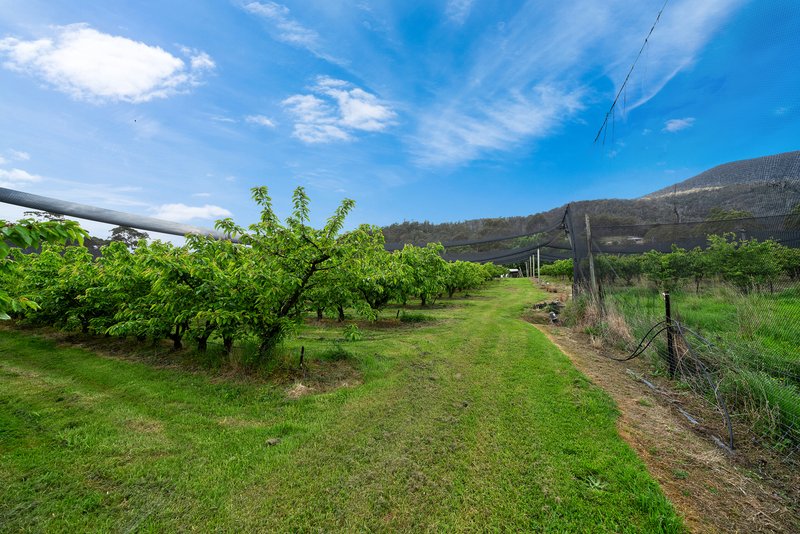 Photo - Lot 1 Hydehurst Road, Lachlan TAS 7140 - Image 4