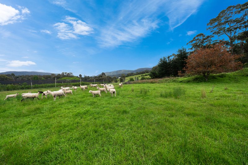 Photo - Lot 1 Hydehurst Road, Lachlan TAS 7140 - Image 6