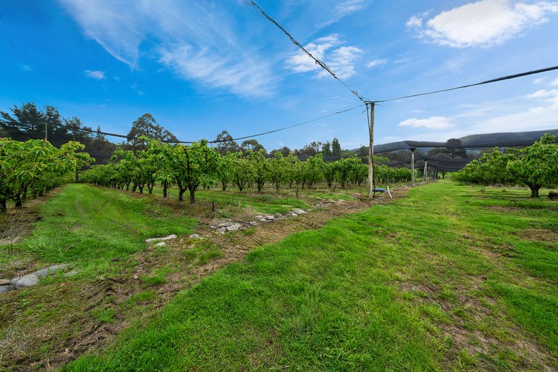 Photo - Lot 1 Hydehurst Road, Lachlan TAS 7140 - Image 7