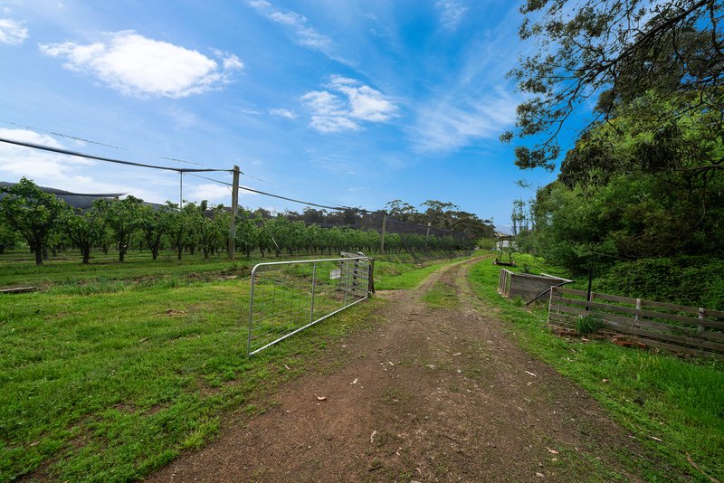 Photo - Lot 1 Hydehurst Road, Lachlan TAS 7140 - Image 11